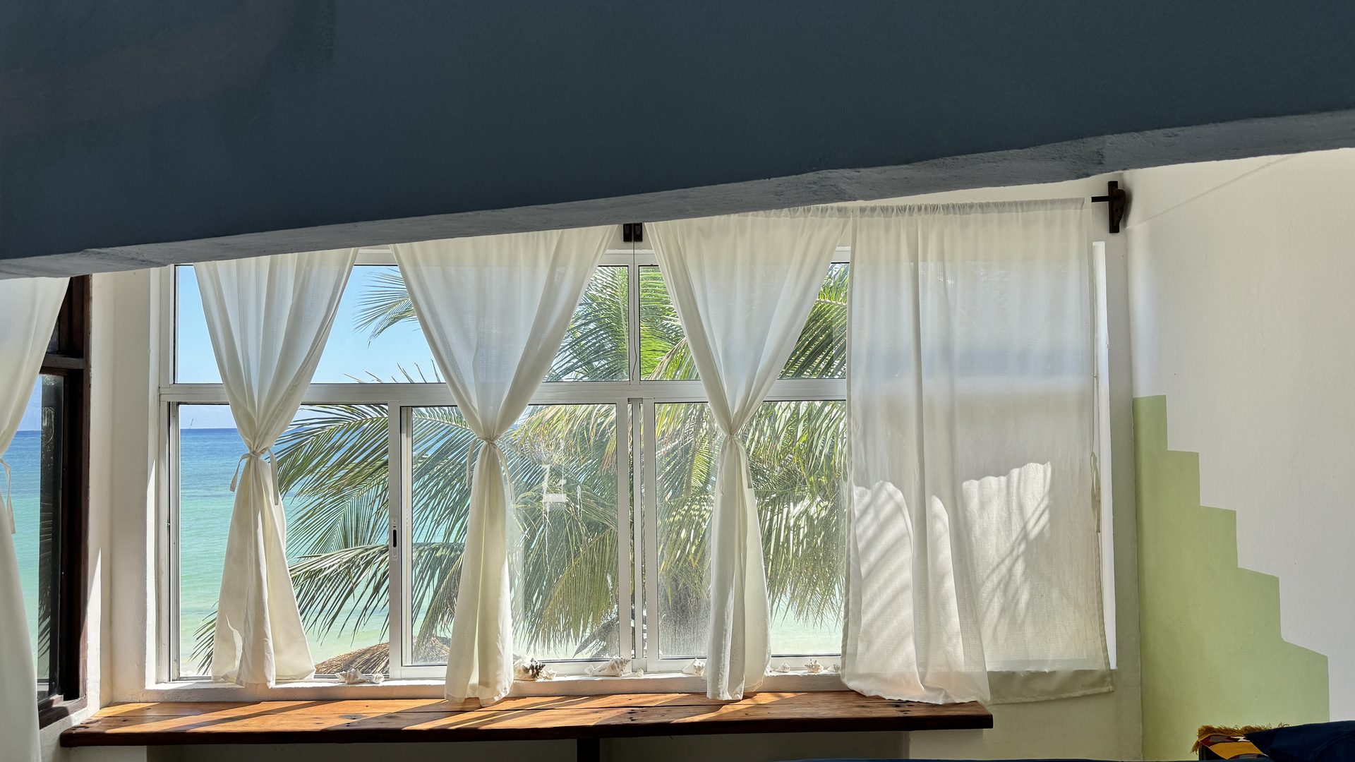 View from the rooms — garden and jungle beyond the windows